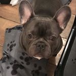 Profile Picture of Corey Brodie (@corey.brodie) on Instagram