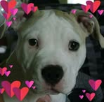 Profile Picture of Cheryl Brissette (@cheryl.brissette.39) on Facebook