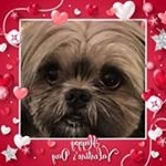 Profile Picture of Kim Walker Barron (@kimwalkerbarron) on Instagram