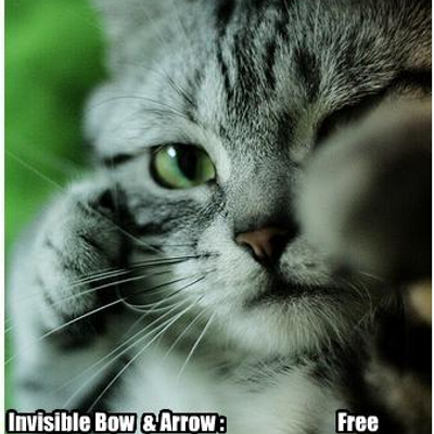 Profile Picture of Matthew DeBerard (@MattDeBerard) on Twitter