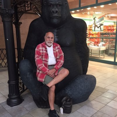 Profile Picture of Dan Stitt (@Zztop360) on Twitter