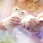 Profile Picture of shayna hobbs (@hobbs9693iz) on Instagram