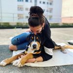 Profile Picture of Lisa Cortese (@l__x__c) on Instagram