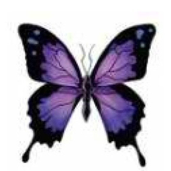 Profile Picture of Tamara Bird (@tamibird) on Poshmark