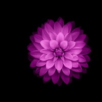 Profile Picture of Robert Nickson (@robert-nickson-1) on Quora