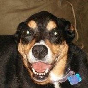 Profile Picture of Thomas Larsen (@thomas.larsen.9) on Myspace