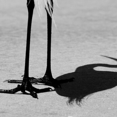 Profile Picture of Vincent Combs (@combsvw) on Twitter