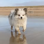 Profile Picture of Nathan Stéphan (@Nathan-Stéphan) on Facebook