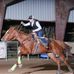 Profile Picture of Savannah Gleckler (@Savannah-Gleckler) on Facebook
