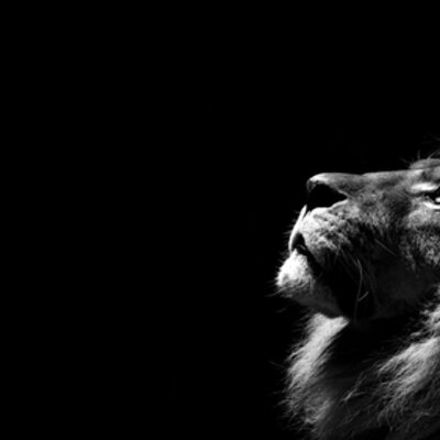 Profile Picture of Michael Schomisch (@mcschomisch) on Twitter