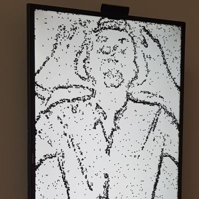 Profile Picture of David Morgan (@daiderby) on Twitter