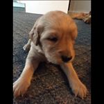 Profile Picture of brady_schoonover (@brady_schoonover) on Instagram