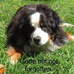 Profile Picture of Jeanne Brevik (@jbrevik1) on Instagram