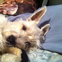 Profile Picture of Matthew Blade (@matthew-blade-3) on Quora