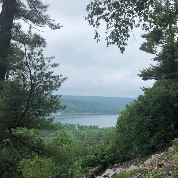 Profile Picture of Kim Carver (@kimcarver24) on Poshmark