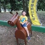 Profile Picture of Jenny Kwong (@chinglamlok) on Instagram