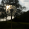 Profile Picture of Point Click Photography (@Point Click Photography) on Flickr
