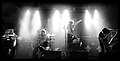 Profile Picture of The Dandy Warhols - Wikipediaon Wikipedia