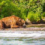 Profile Picture of Abrahamsen (@abrahamsenbarta1) on Instagram