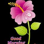 Profile Picture of sameer siddiqi (@siddiqi3666) on Instagram