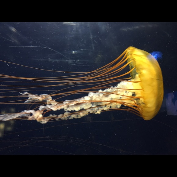 Profile Picture of Corey Bieren (@coreybbb) on Poshmark