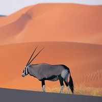 Profile Picture of Nanz Tadefa (@nanz-tadefa) on Quora