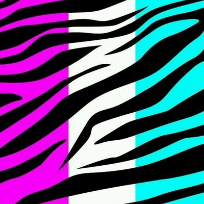 Profile Picture of Allison Ritter (@allisonritter1) on Twitter