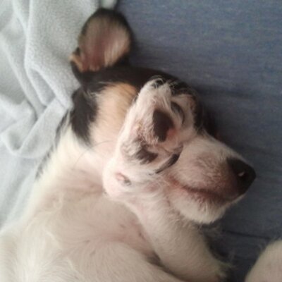 Profile Picture of William C Parham III (@massaweeyumIII) on Twitter