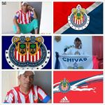Profile Picture of Carlos Sandoval Castañeda (@carlossandovalcastaneda) on Instagram