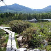 Profile Picture of Chad Denis (@chaddenis5358) on Youtube