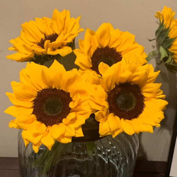 Profile Picture of Brooke Ruby (@brookeruby0116) on Poshmark