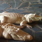 CW Moore - Pinterest Profile Picture of CW Moore (@cwmoore76) on Pinterest