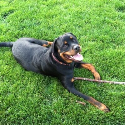 Profile Picture of Eric Rex (@Ericrex23) on Twitter