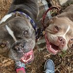 Profile Picture of ROBERT & BIRD (@robertandbirdie) on Instagram