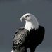 Profile Picture of Claude Lawrence (@claude.lawrence.7796) on Facebook