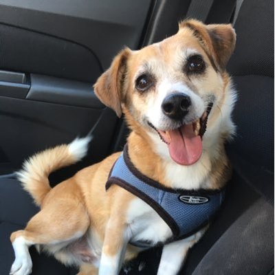 Profile Picture of Mike Temple (@crichton08) on Twitter