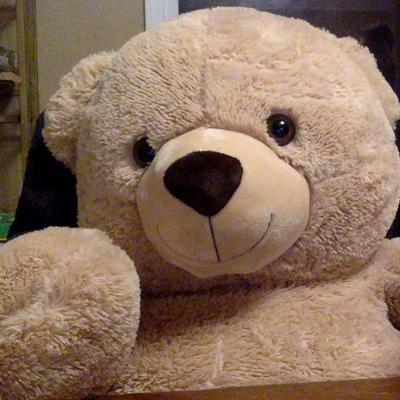 Profile Picture of Carl Is A Bear (@CarlIsABear) on Twitter