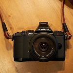 Profile Picture of Braceman2009 (@Braceman2009) on Flickr