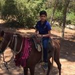 Profile Picture of Ahmad Awawdeh (@ahmadmneeb12345) on Instagram