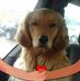 Profile Picture of Randy Fischer (@randy.fischer.395) on Facebook