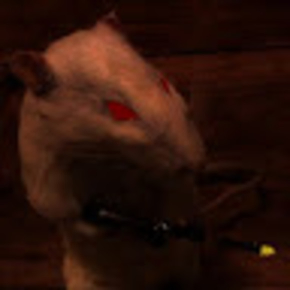 Profile Picture of Dumnb Creator (@jacobmarqez09) on Poshmark