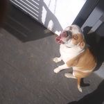 Profile Picture of Travis Fuson (@travis.fuson.91) on Instagram