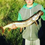 Profile Picture of Seth Olander (@olandar3) on Instagram