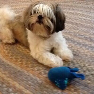 Profile Picture of Gia Mason (@giamason) on Twitter