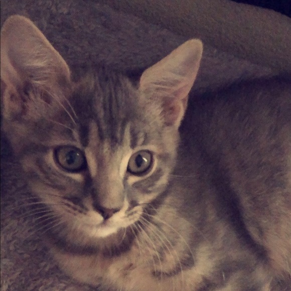 Profile Picture of Jocelyn Ramirez (@jocelynramir571) on Poshmark