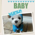 Profile Picture of 정춘미 (@정춘미) on Facebook