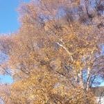 Profile Picture of Kyle Scott Fishwick (@kylescottfishwick) on Instagram