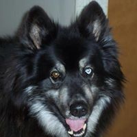 Profile Picture of Dee Connors (@dee-connors-1) on Quora