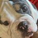 Profile Picture of Kevin Binger (@Kevin-Binger) on Facebook