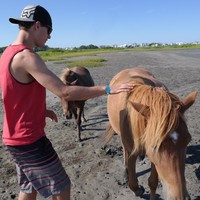 Profile Picture of Jacob Armitage (@jacob-armitage-5) on Quora